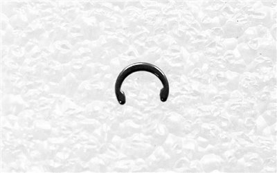 Ring, Retaining, 1/4 in., SST