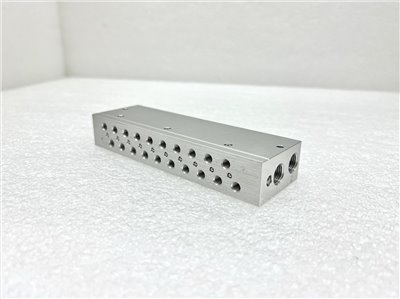Manifold, Block, 10STN, 1/8 NPT
